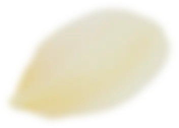 petals